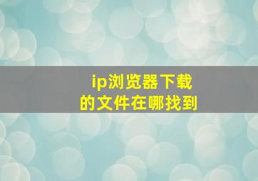 ip浏览器下载的文件在哪找到