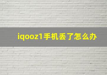 iqooz1手机丢了怎么办