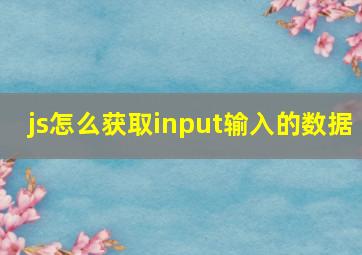 js怎么获取input输入的数据