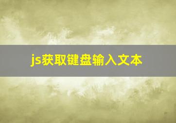 js获取键盘输入文本