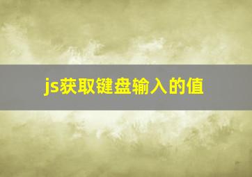 js获取键盘输入的值