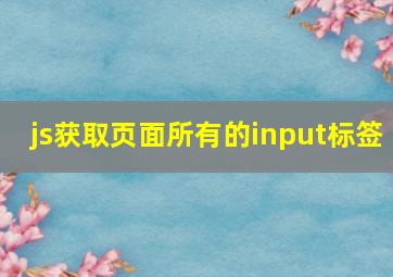 js获取页面所有的input标签