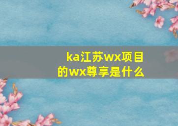 ka江苏wx项目的wx尊享是什么