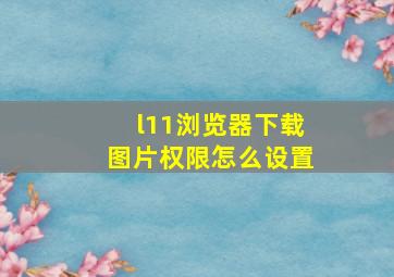 l11浏览器下载图片权限怎么设置