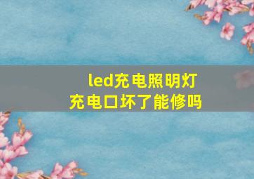 led充电照明灯充电口坏了能修吗