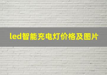 led智能充电灯价格及图片