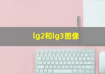 lg2和lg3图像