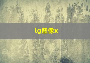 lg图像x