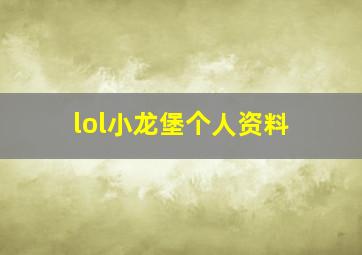 lol小龙堡个人资料