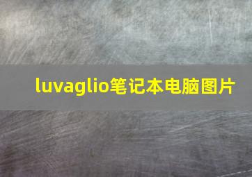 luvaglio笔记本电脑图片