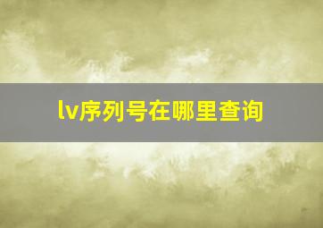 lv序列号在哪里查询