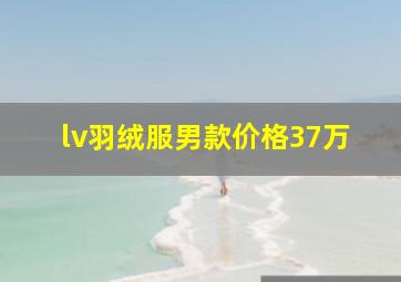 lv羽绒服男款价格37万