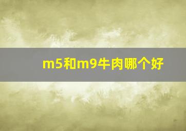 m5和m9牛肉哪个好