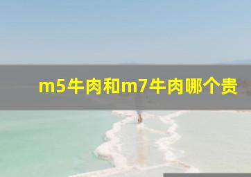 m5牛肉和m7牛肉哪个贵