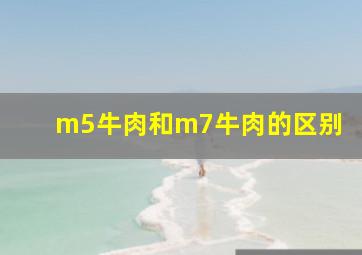 m5牛肉和m7牛肉的区别