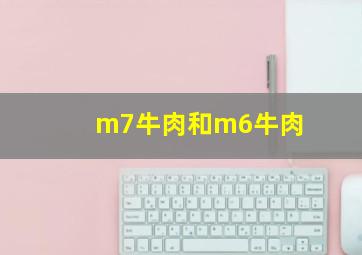 m7牛肉和m6牛肉