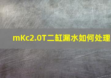 mKc2.0T二缸漏水如何处理