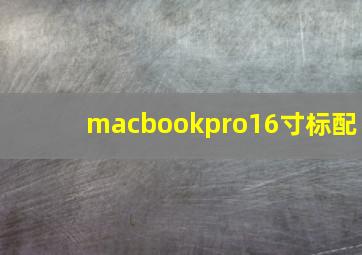 macbookpro16寸标配