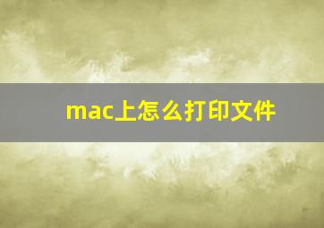 mac上怎么打印文件