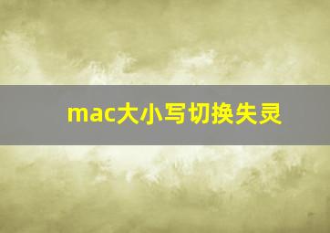 mac大小写切换失灵