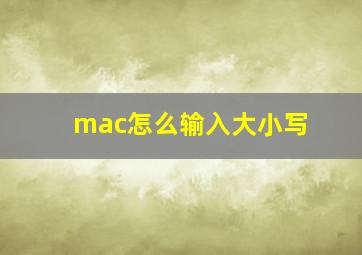 mac怎么输入大小写