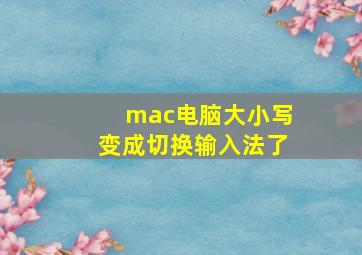 mac电脑大小写变成切换输入法了