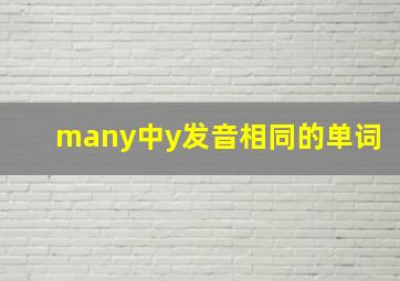 many中y发音相同的单词