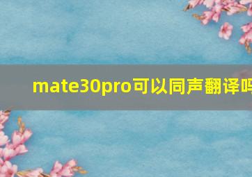 mate30pro可以同声翻译吗