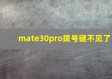 mate30pro拨号键不见了