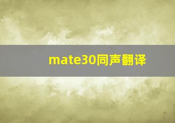 mate30同声翻译