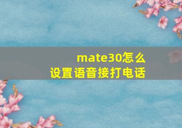 mate30怎么设置语音接打电话