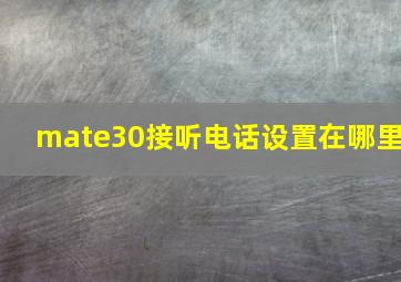 mate30接听电话设置在哪里