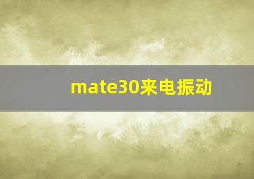 mate30来电振动