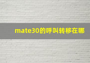 mate30的呼叫转移在哪