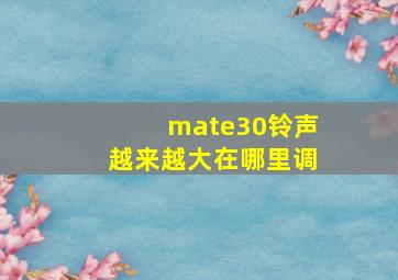 mate30铃声越来越大在哪里调