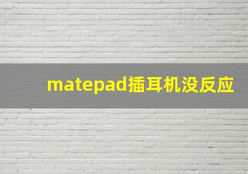 matepad插耳机没反应