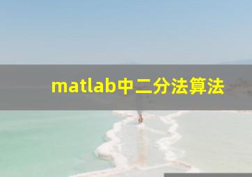 matlab中二分法算法