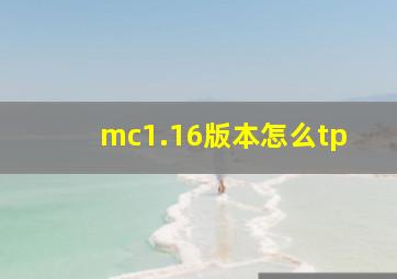 mc1.16版本怎么tp