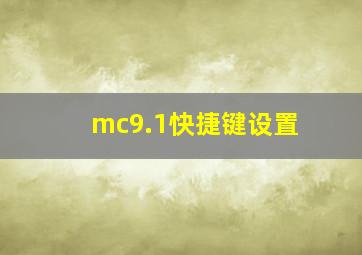 mc9.1快捷键设置