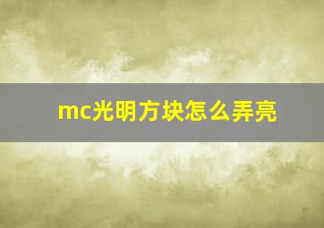 mc光明方块怎么弄亮