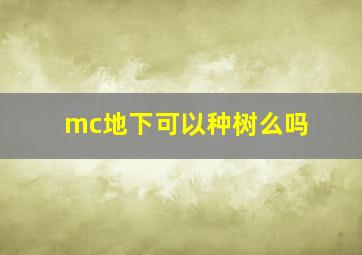 mc地下可以种树么吗