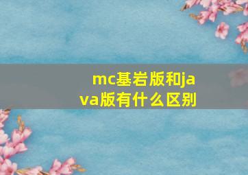 mc基岩版和java版有什么区别