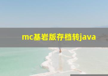 mc基岩版存档转java