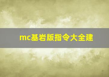 mc基岩版指令大全建