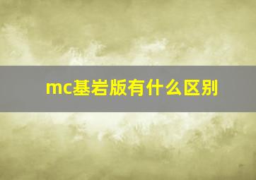 mc基岩版有什么区别