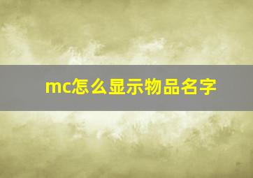 mc怎么显示物品名字