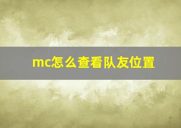 mc怎么查看队友位置