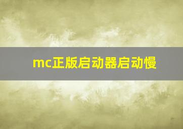 mc正版启动器启动慢