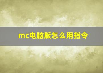 mc电脑版怎么用指令