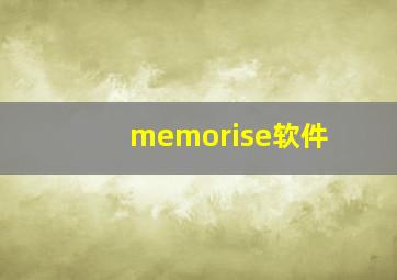 memorise软件